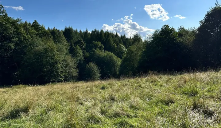 Działka rolna Kocoń