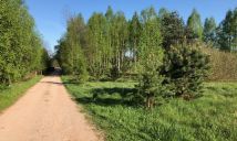 Działka budowlana Tomaszew. Zdjęcie 3