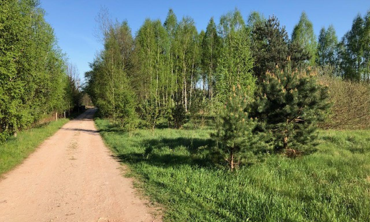 Działka budowlana Tomaszew. Zdjęcie 4