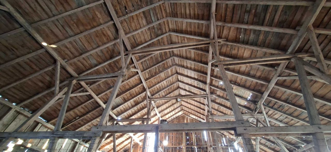 Działka siedliskowa Tolniki Małe. Zdjęcie 8