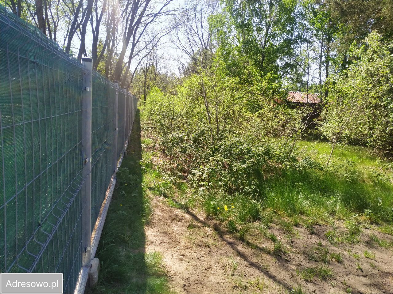 Działka budowlana Nowe Lipki. Zdjęcie 6