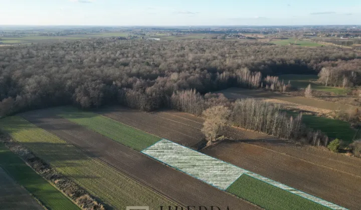 Działka budowlana Motycz Leśny