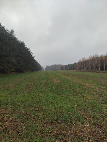 Działka rolna Jasionna. Zdjęcie 2