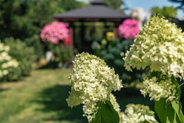 dom wolnostojący, 5 pokoi Jabłonna, ul. Modlińska. Zdjęcie 11