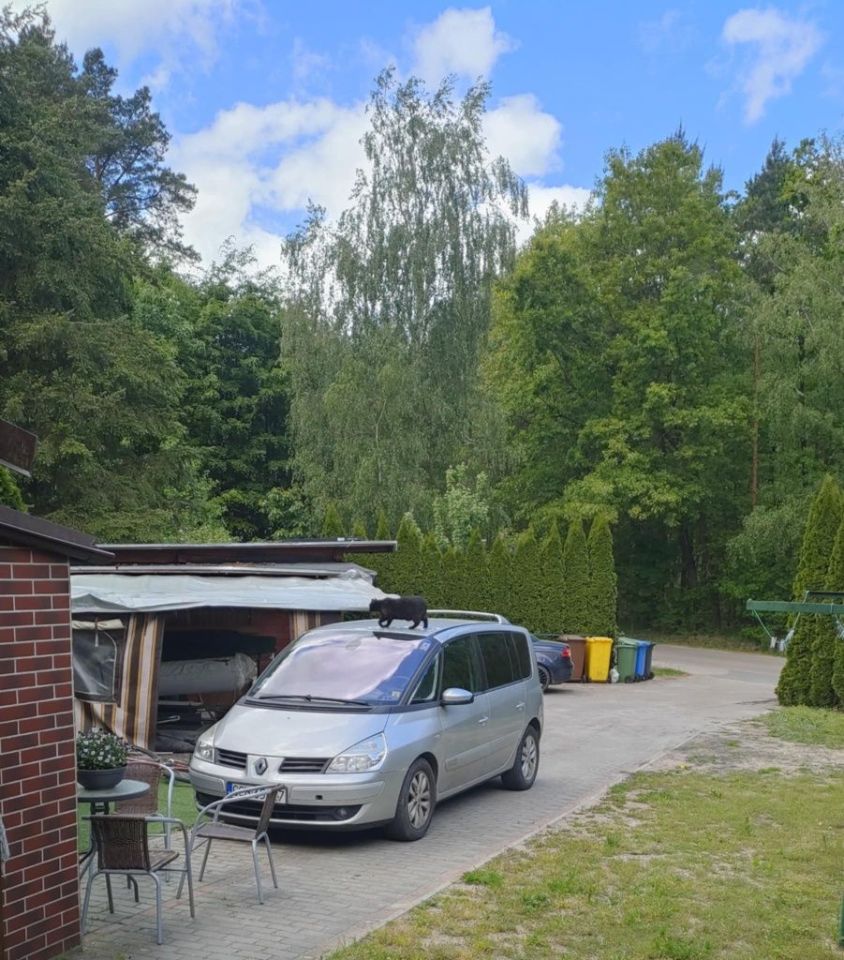 Mieszkanie 4-pokojowe Kłodawa. Zdjęcie 3