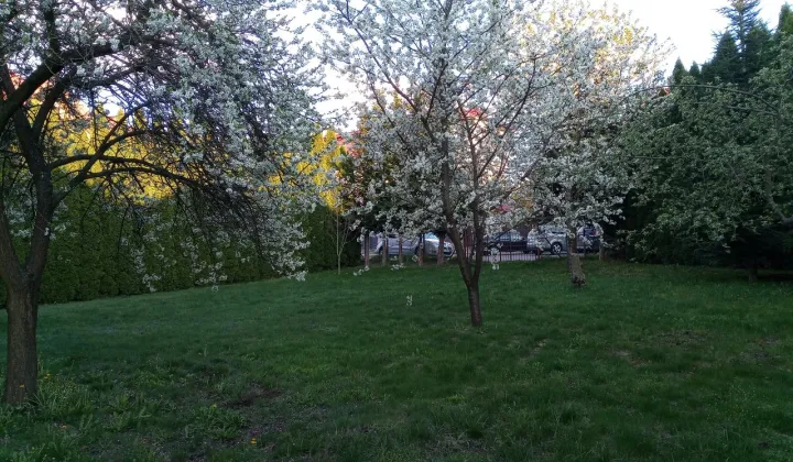 Działka budowlana Lublin Szerokie, ul. Strumykowa