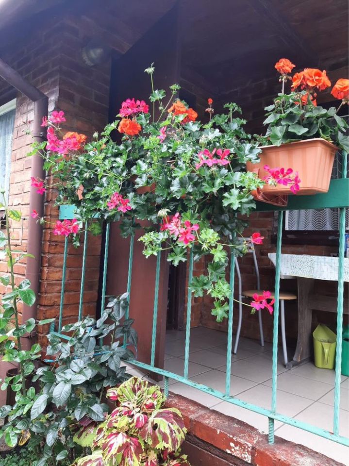 Działka rod Lubin. Zdjęcie 5
