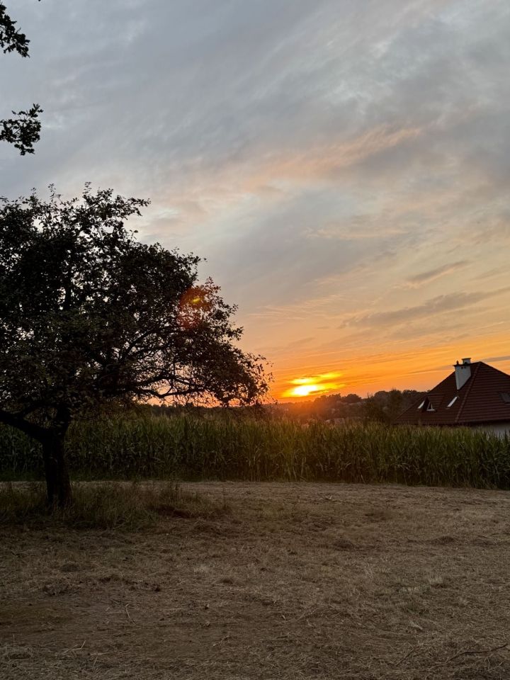 Działka rolno-budowlana Dobczyce, ul. Widokowa. Zdjęcie 7