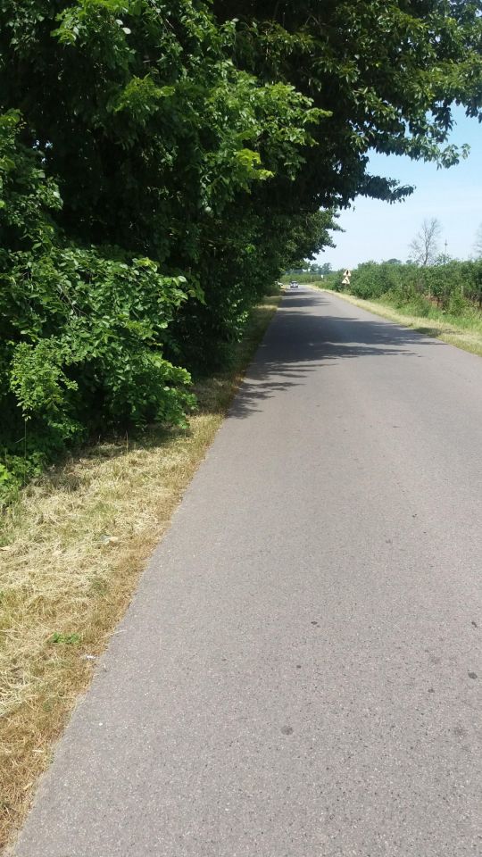 Działka rolna Stamirowice. Zdjęcie 2