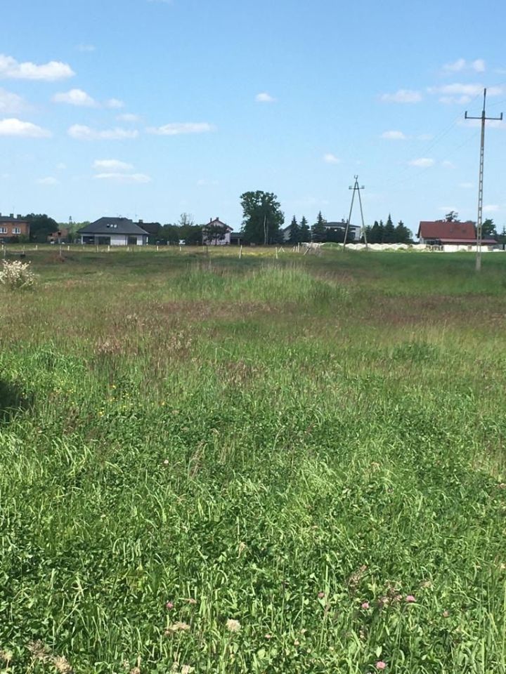 Działka inwestycyjna Pabianice, ul. Zaradzyńska