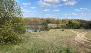 Działka siedliskowa Grzybiny