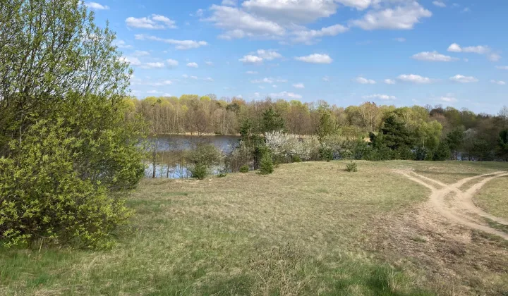 Działka siedliskowa Grzybiny