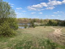 Działka siedliskowa Grzybiny