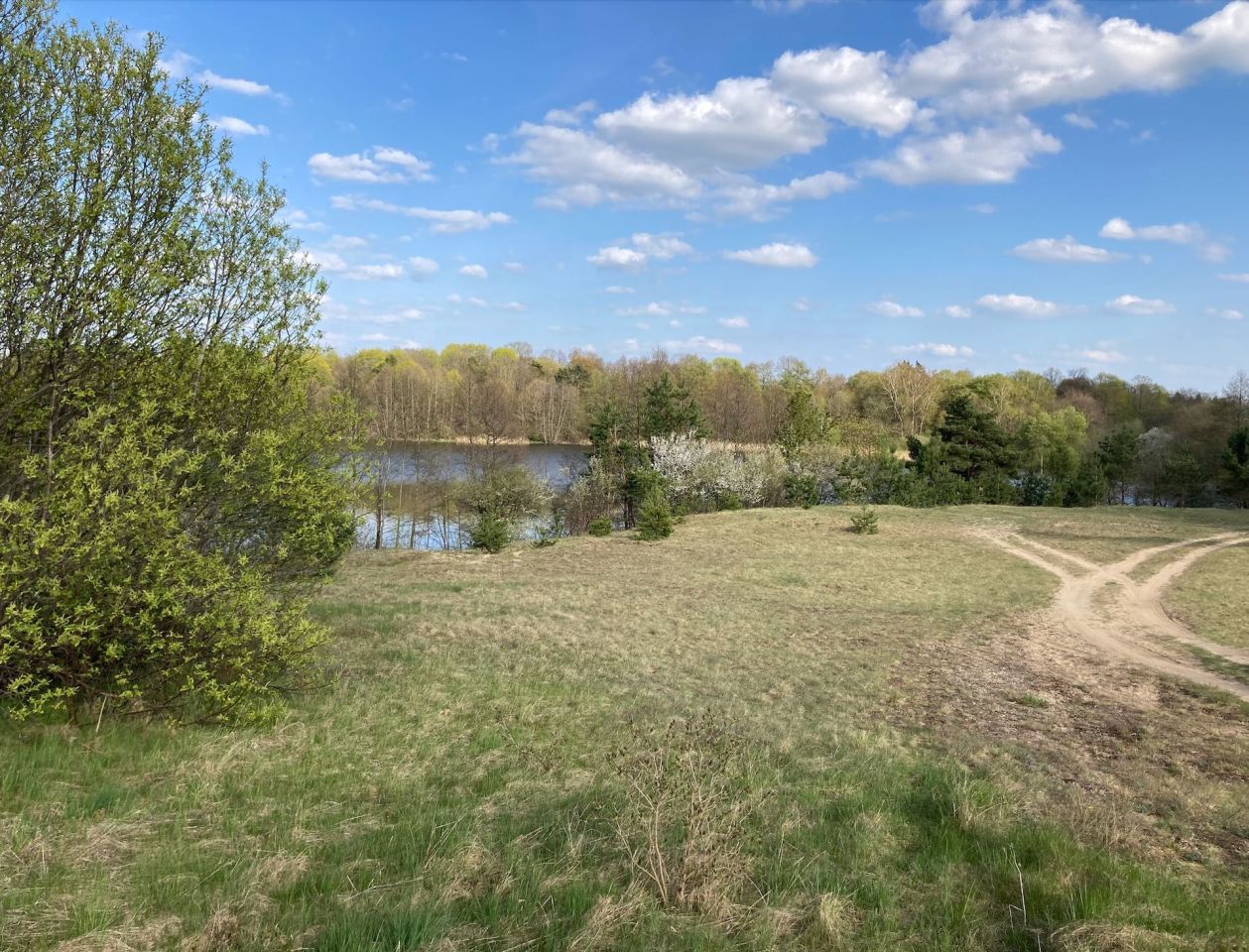 Działka siedliskowa Grzybiny