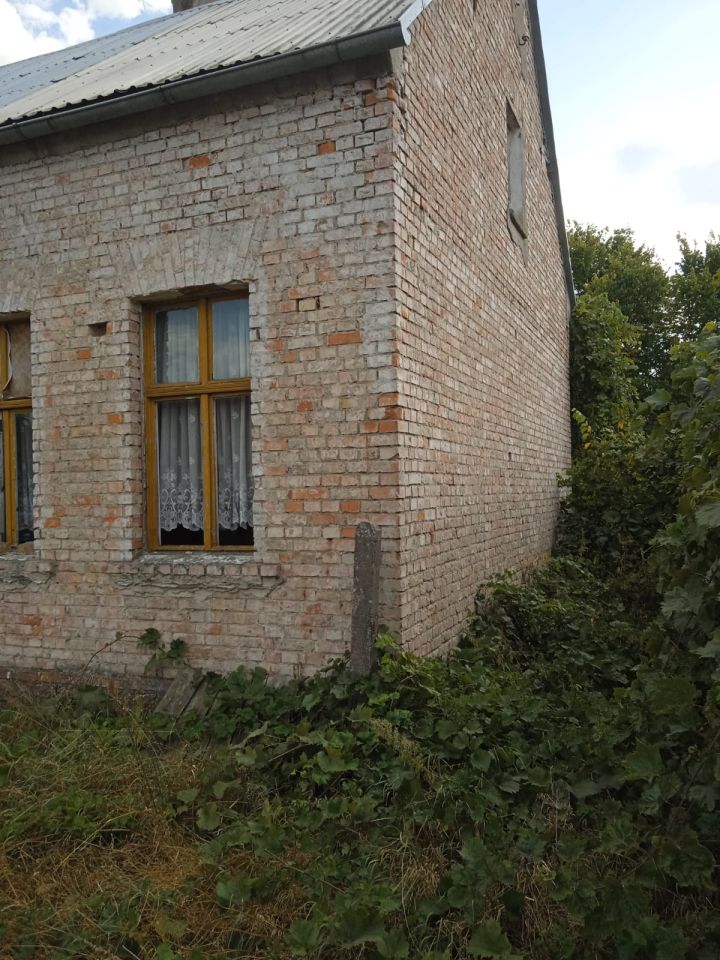 Działka budowlana Osinów Dolny. Zdjęcie 10