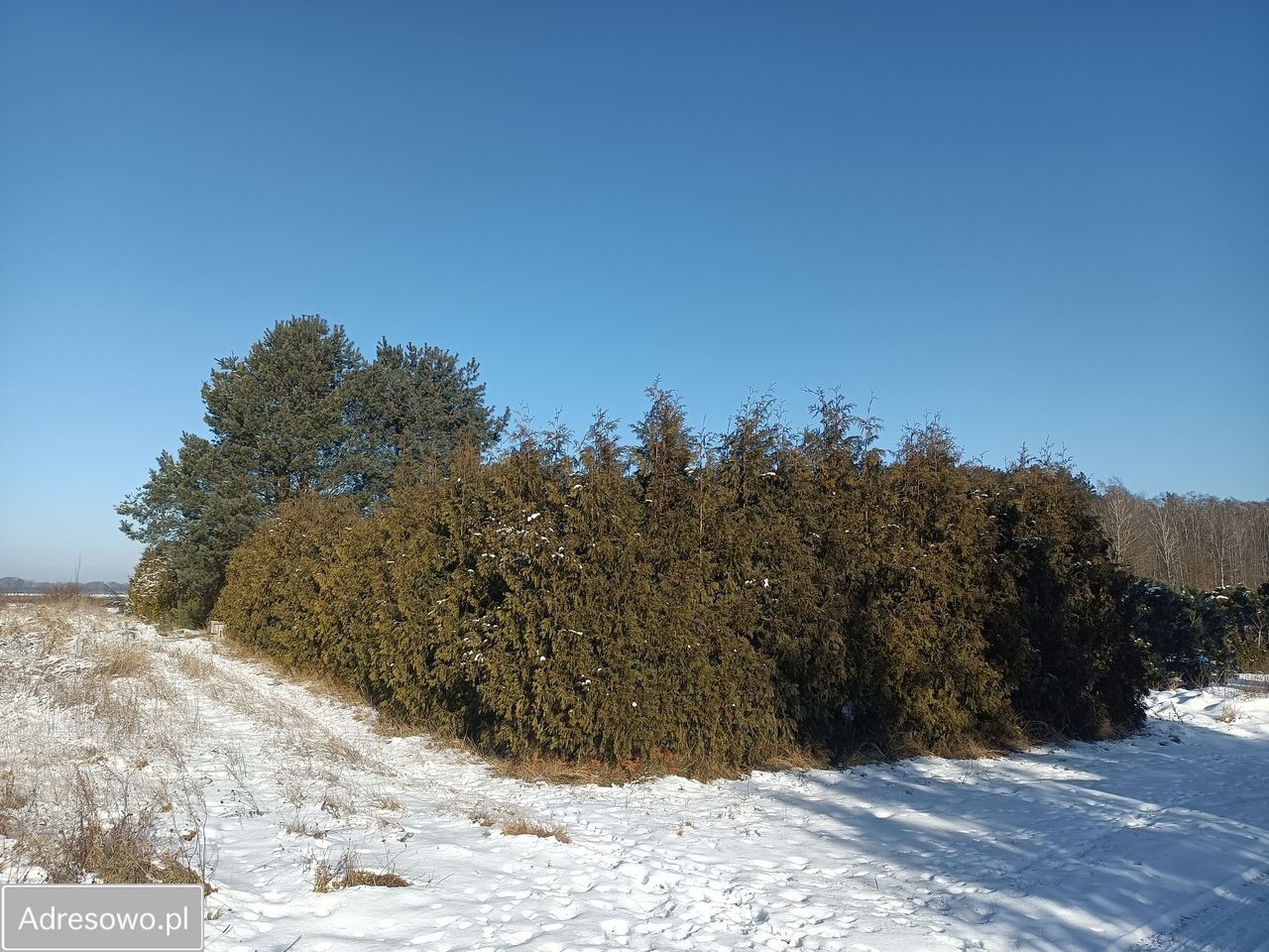 Mieszkanie 3-pokojowe Wyczechy. Zdjęcie 14