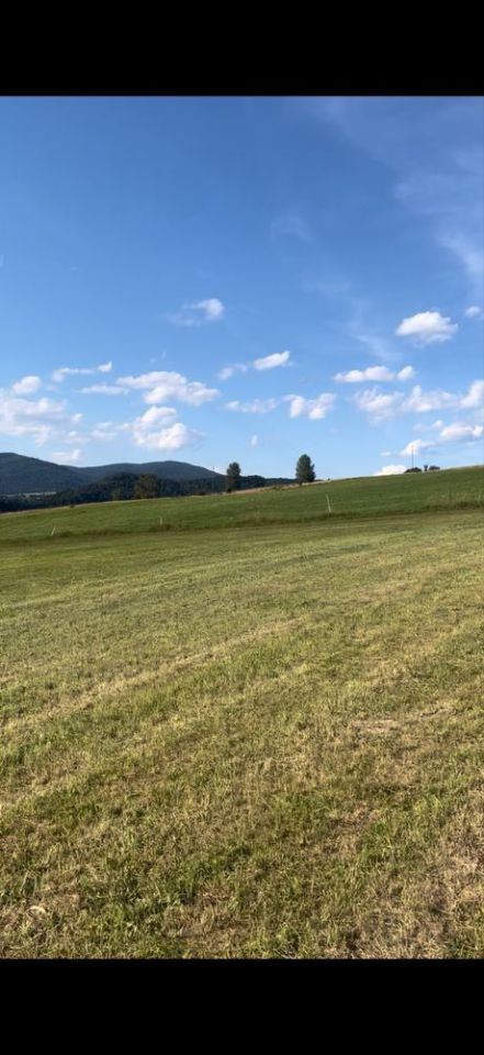 Działka budowlana Muszyna. Zdjęcie 5