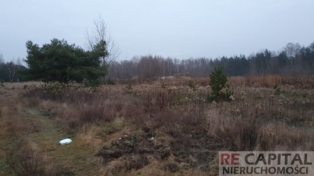 Działka siedliskowa Borzęcin Duży. Zdjęcie 6