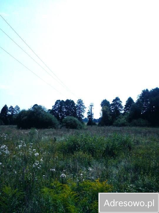 Działka budowlana Zboiska, ul. Dzika. Zdjęcie 3