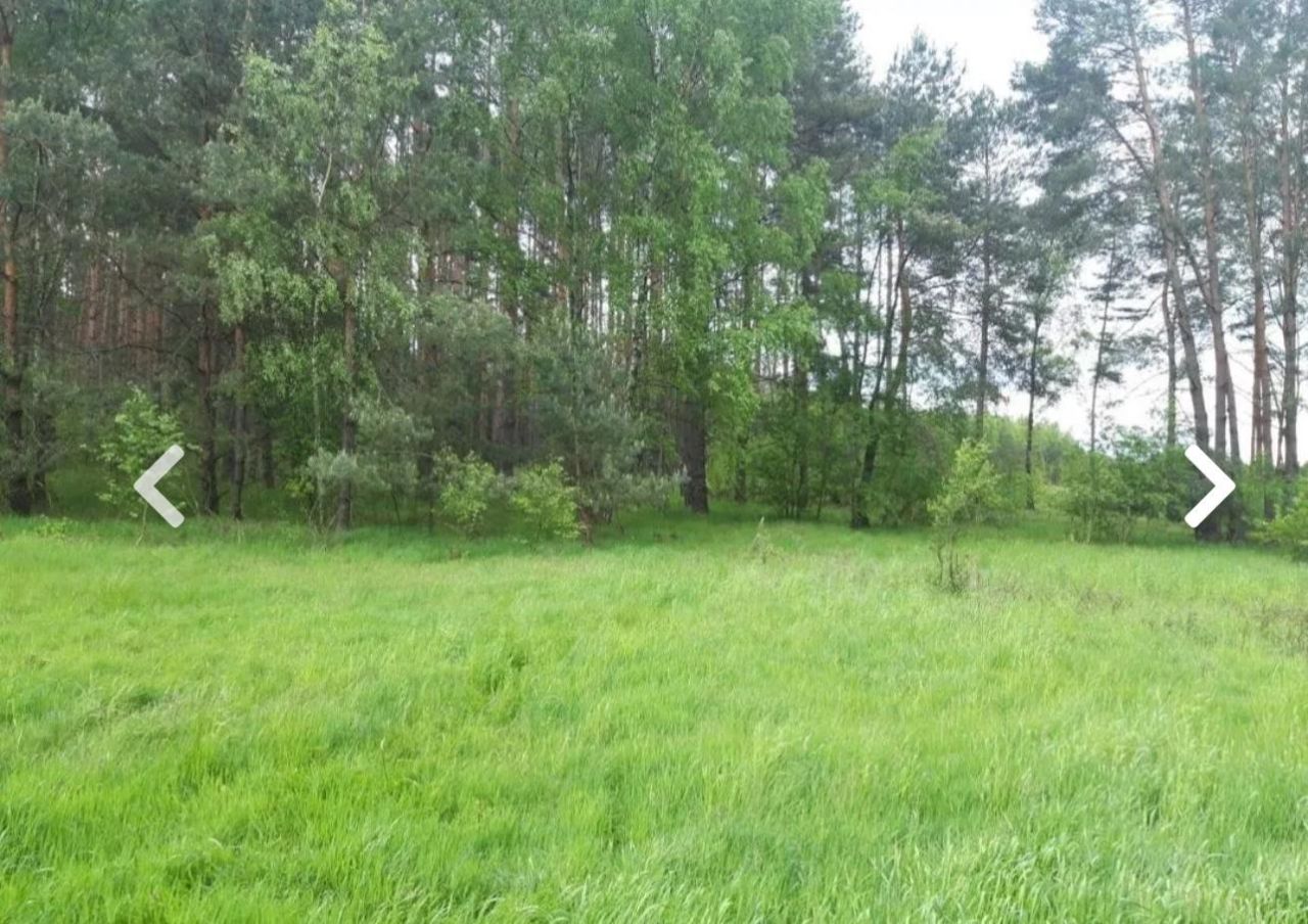 Działka rolna Trzebule. Zdjęcie 3