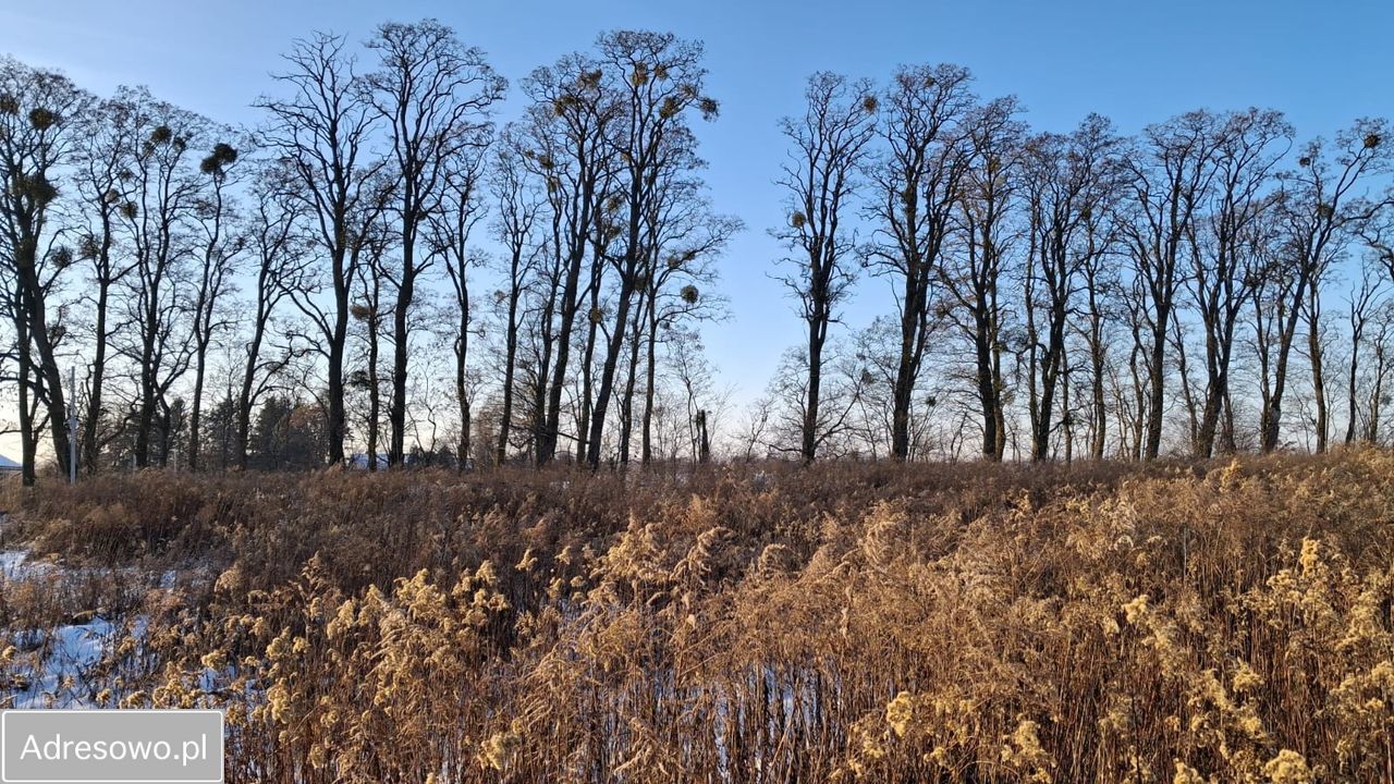Działka budowlana Stelmachowo. Zdjęcie 15