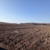 Działka rolna Helenów. Zdjęcie 4