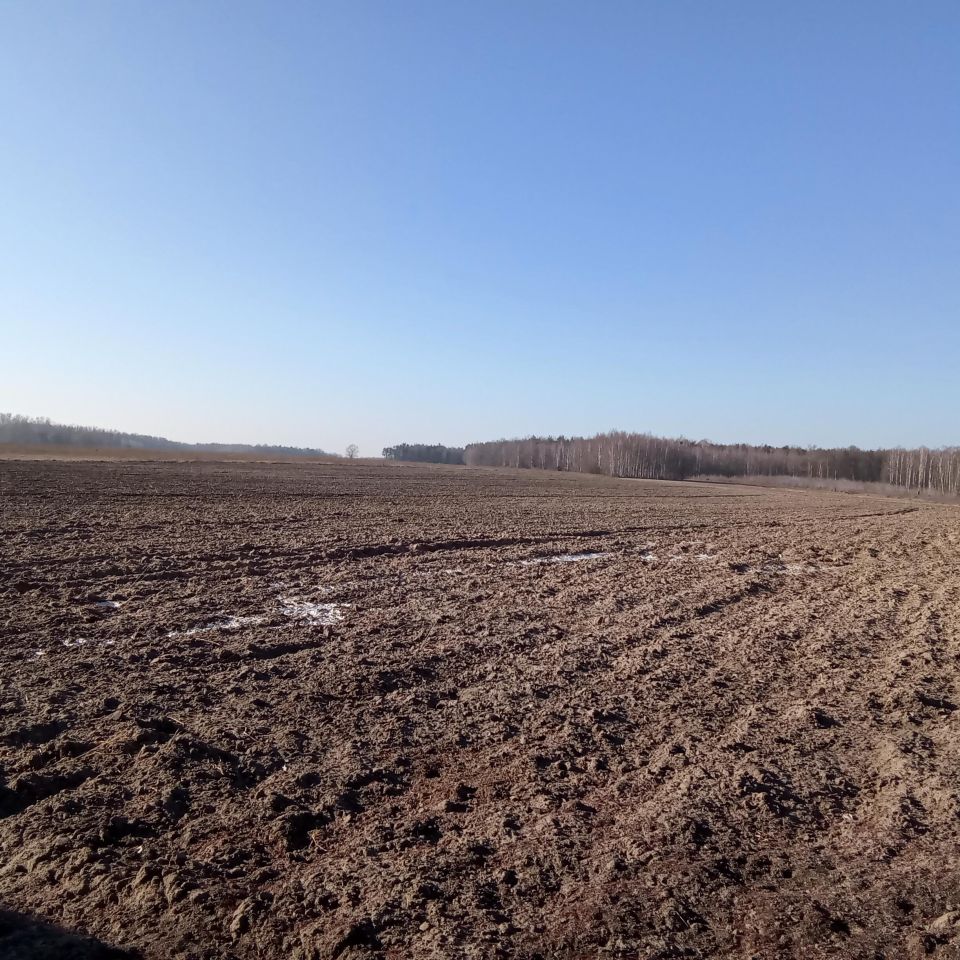 Działka rolna Helenów. Zdjęcie 5