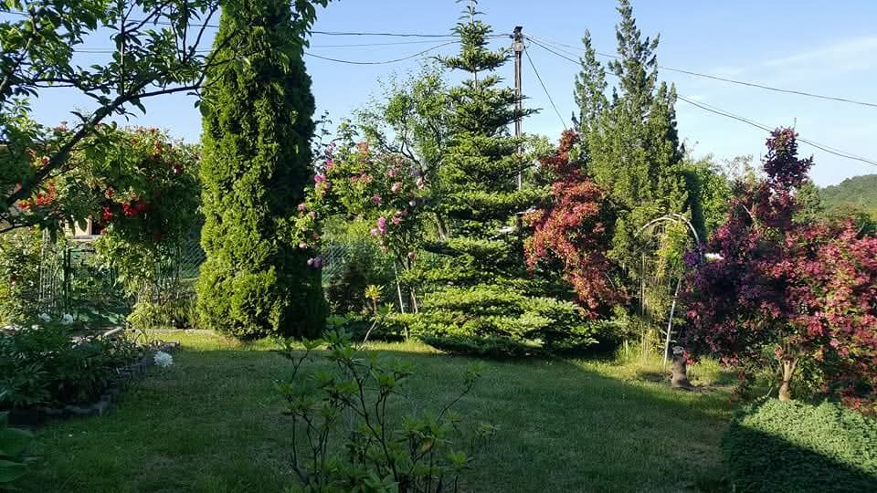 Działka rekreacyjna Jastrzębie-Zdrój Zofiówka, ul. Wojciecha Korfantego. Zdjęcie 4