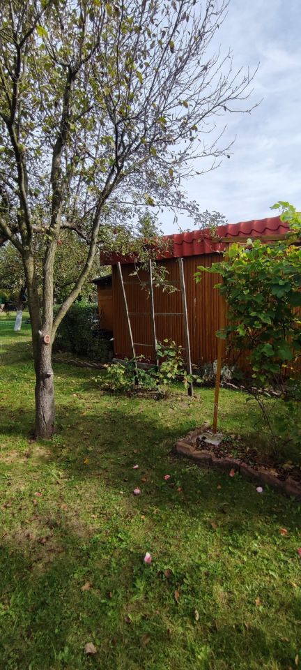 Działka rod Piotrków Trybunalski, ul. Brzeźnicka. Zdjęcie 7