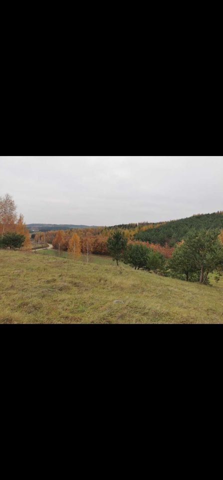 Działka budowlana Kurzętnik. Zdjęcie 5