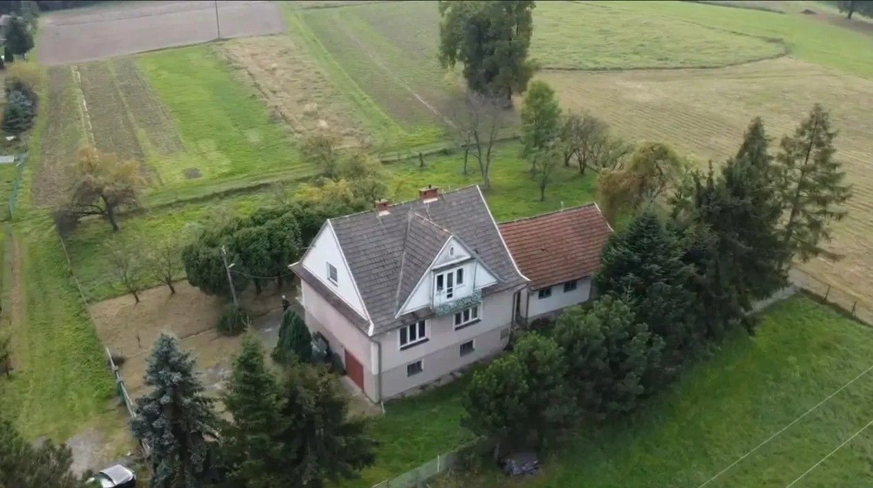 Zdjęcie 2