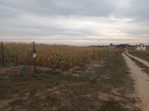 Działka inwestycyjna Strzyżewo Kościelne, os. Osiedle Nad Wełną. Zdjęcie 4