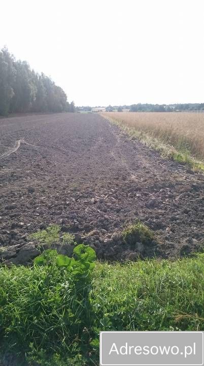 Działka rolno-budowlana Górno-Parcele. Zdjęcie 2