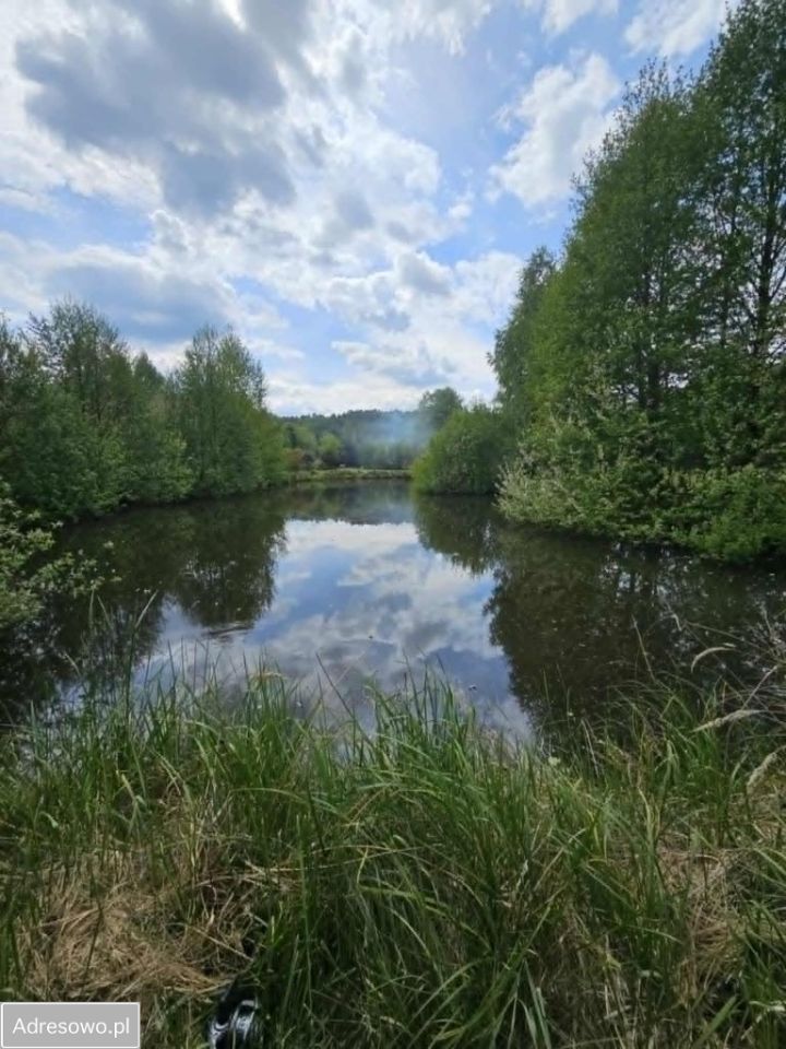 Działka rolno-budowlana Zalesiczki. Zdjęcie 6