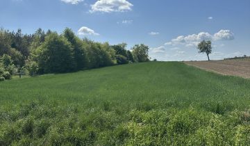 Działka rolno-budowlana Poniec