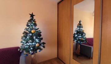 Mieszkanie 2-pokojowe Gliwice Trynek