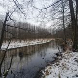 Działka rolno-budowlana Golce. Zdjęcie 3