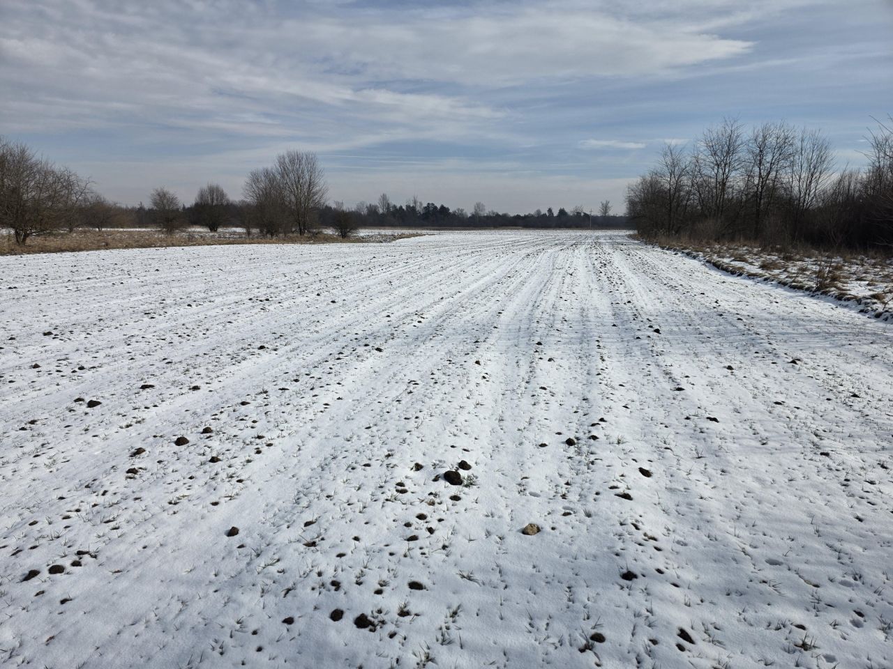 Działka rolna Wolica, Wolica. Zdjęcie 7