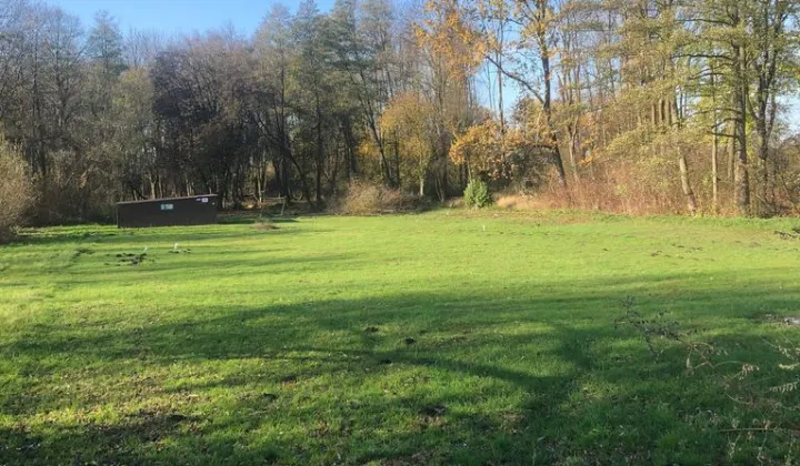 Działka Solna