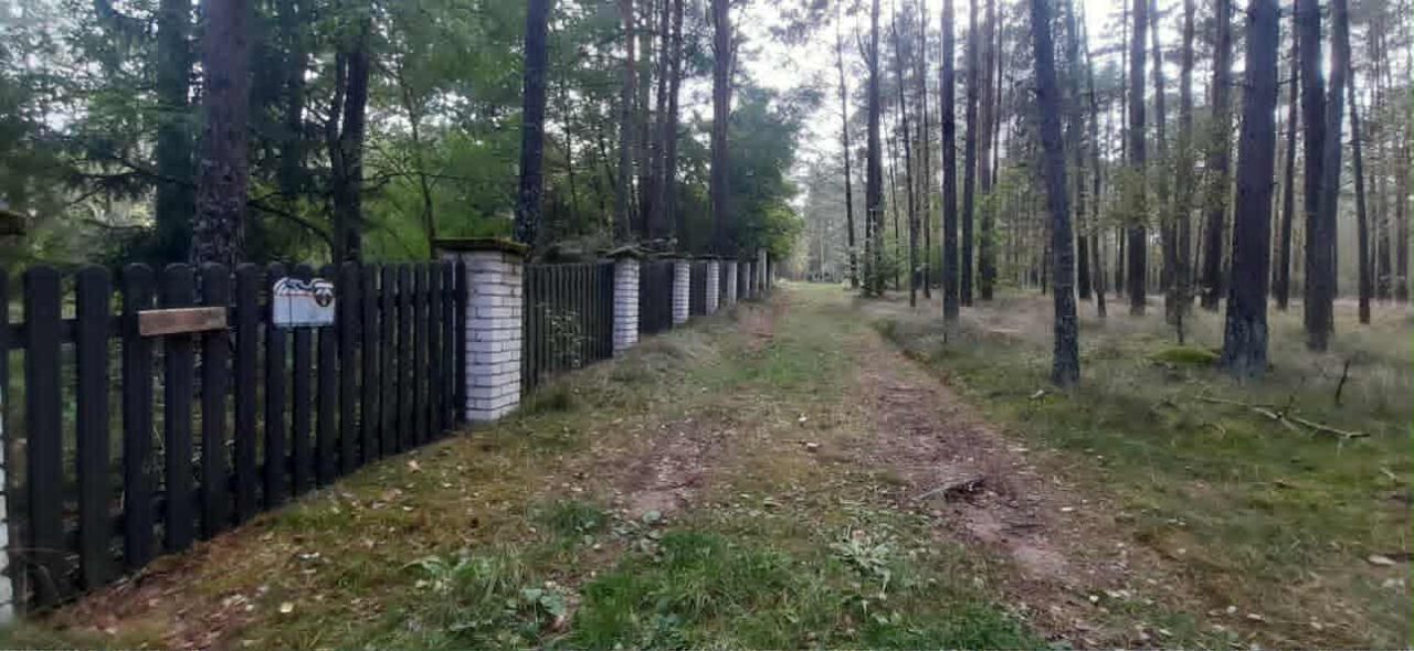 Działka siedliskowa Olpuch. Zdjęcie 6