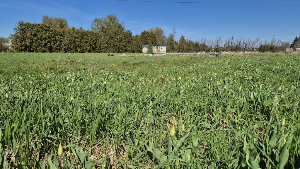 Działka budowlana Dąbrowa, ul. Graniczna. Zdjęcie 3