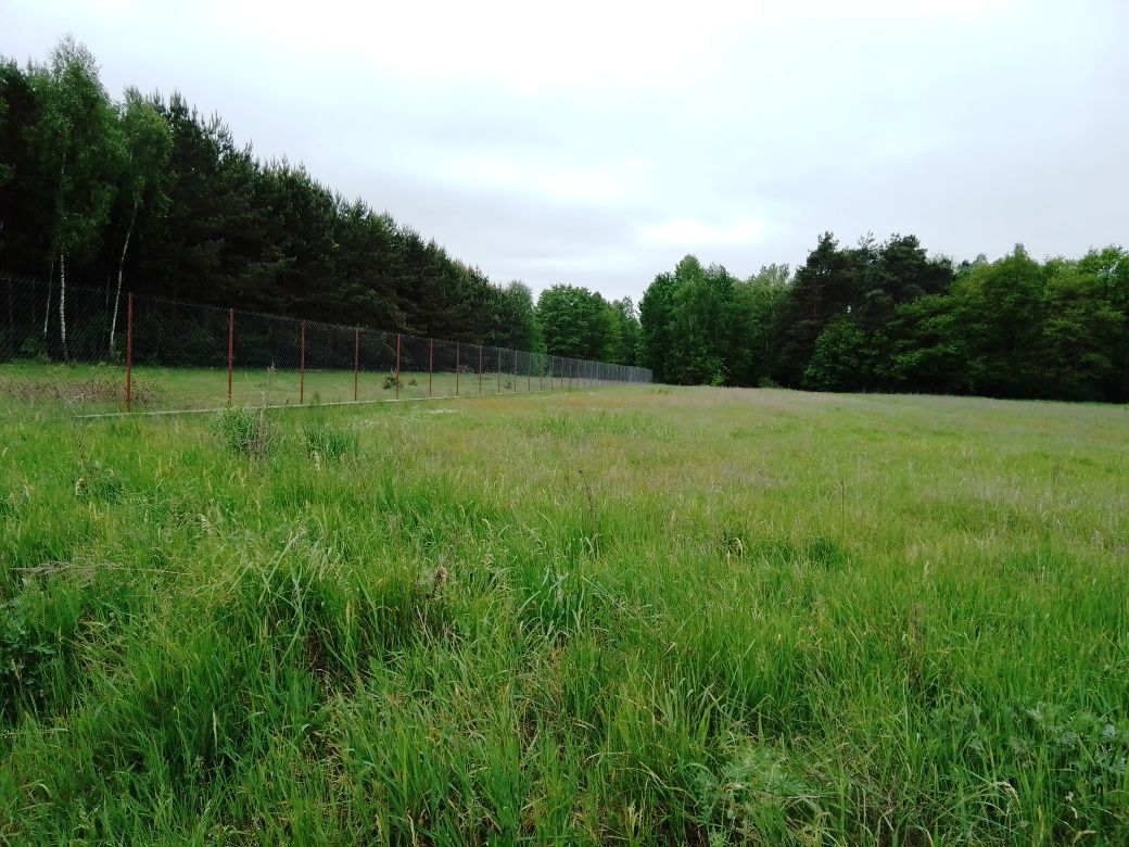 Działka rolno-budowlana Zofia. Zdjęcie 4