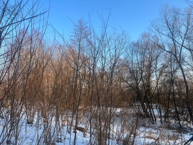 Działka rolna Jadowniki. Zdjęcie 1