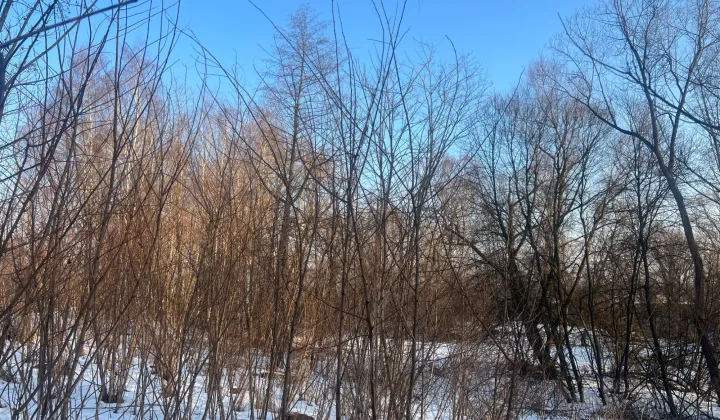 Działka rolna Jadowniki