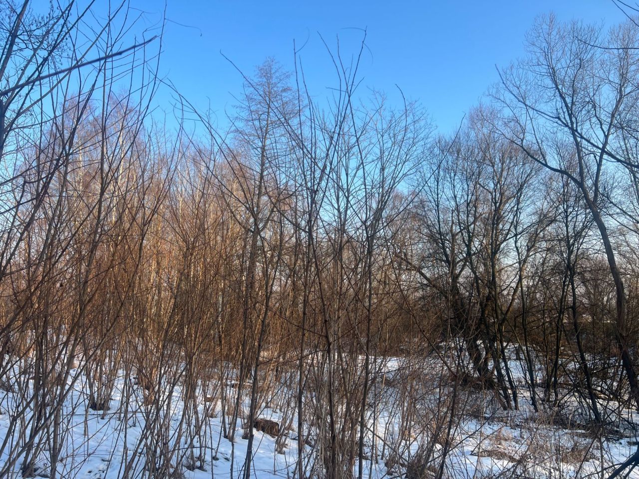 Działka rolna Jadowniki. Zdjęcie 1