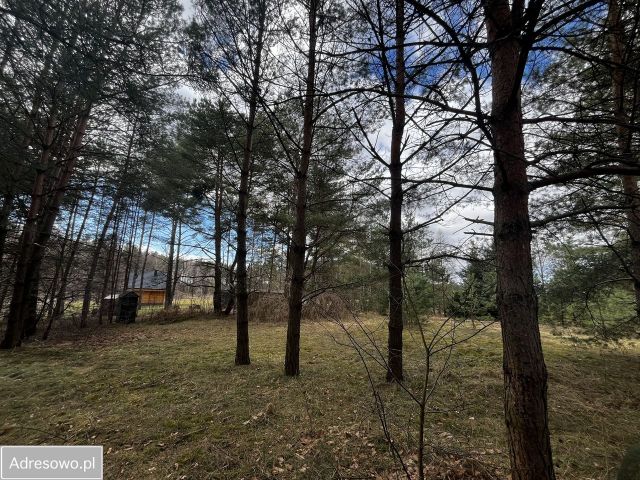 Działka rekreacyjna Wałpusz. Zdjęcie 1