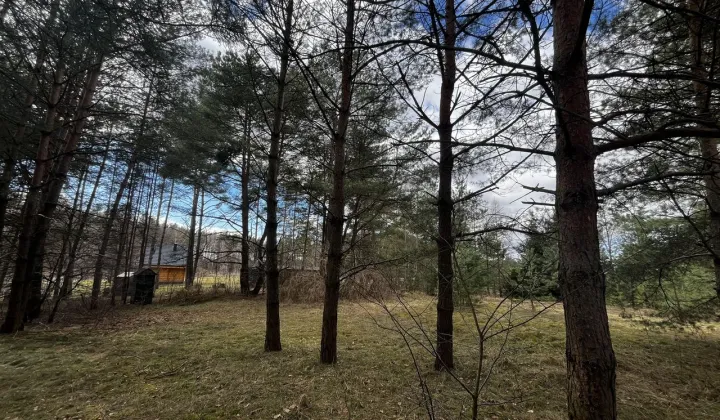 Działka rekreacyjna Wałpusz