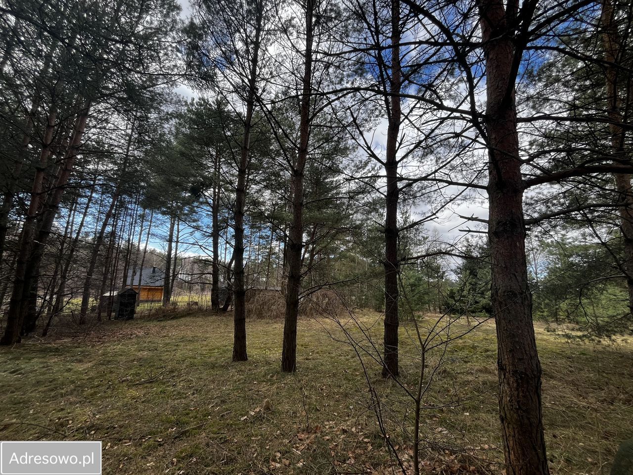 Działka rekreacyjna Wałpusz. Zdjęcie 1