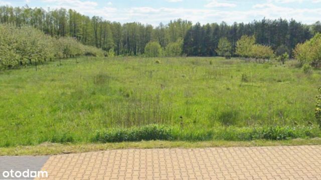 Działka rolno-budowlana Zwoleń Regułt, ul. Wiślana. Zdjęcie 1