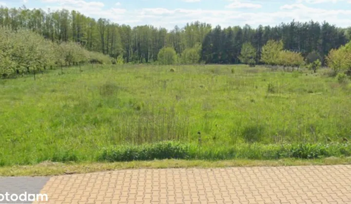 Działka rolno-budowlana Zwoleń Regułt, ul. Wiślana